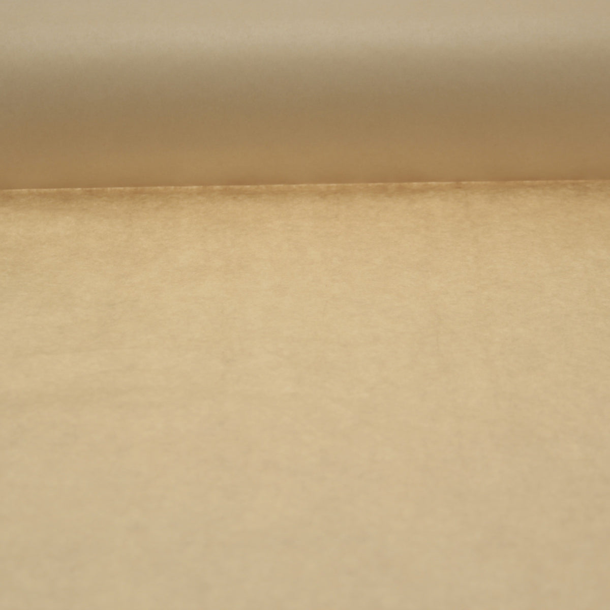 Discover the Cream Kraft Paper 50cm at Bristow Direct