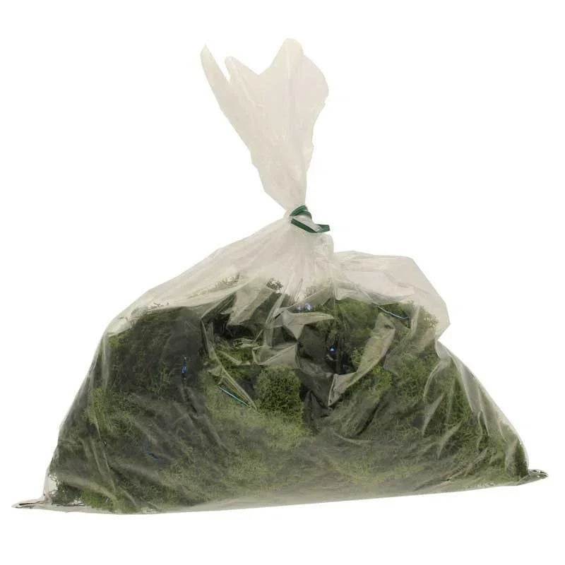 Discover the Olive Green Reindeer Moss (500g) at Bristow Direct