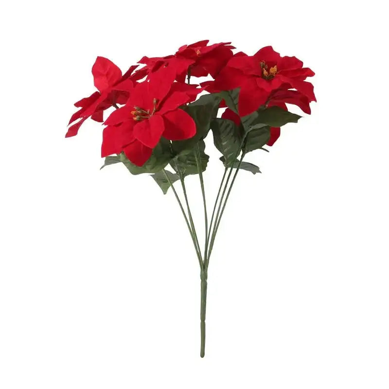 Small Poinsettia Bush x7 heads (15 Inch)