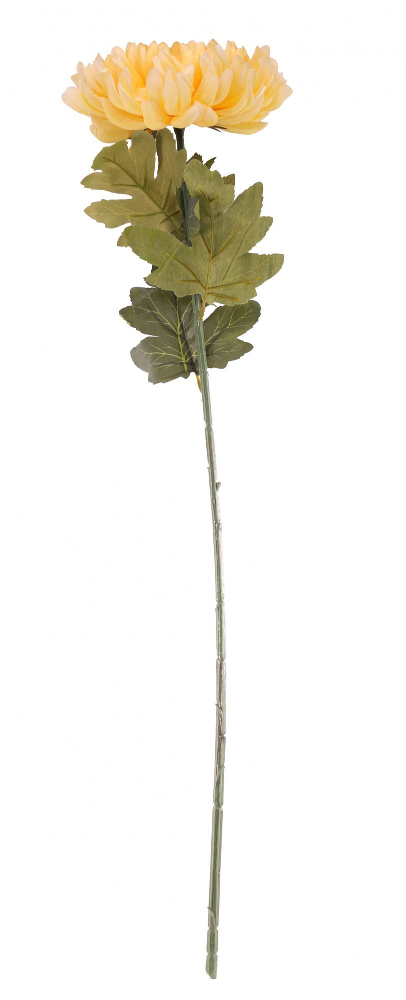 Discover the Yellow Chrysanthemum Flower 75cm at Bristow Direct