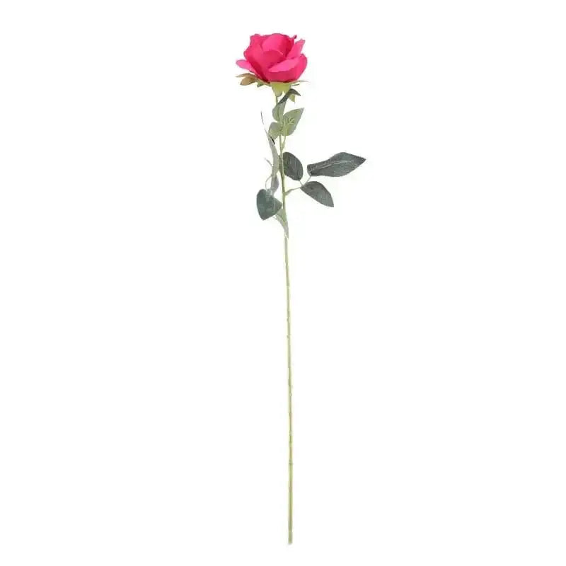 Arundel Rose Fuchsia