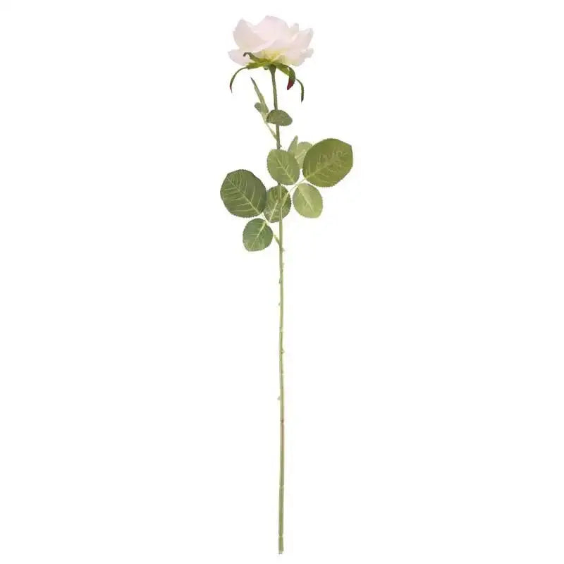 Arundel Open Rose Cream
