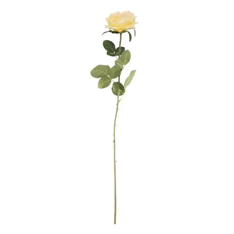 Arundel Open Rose Yellow