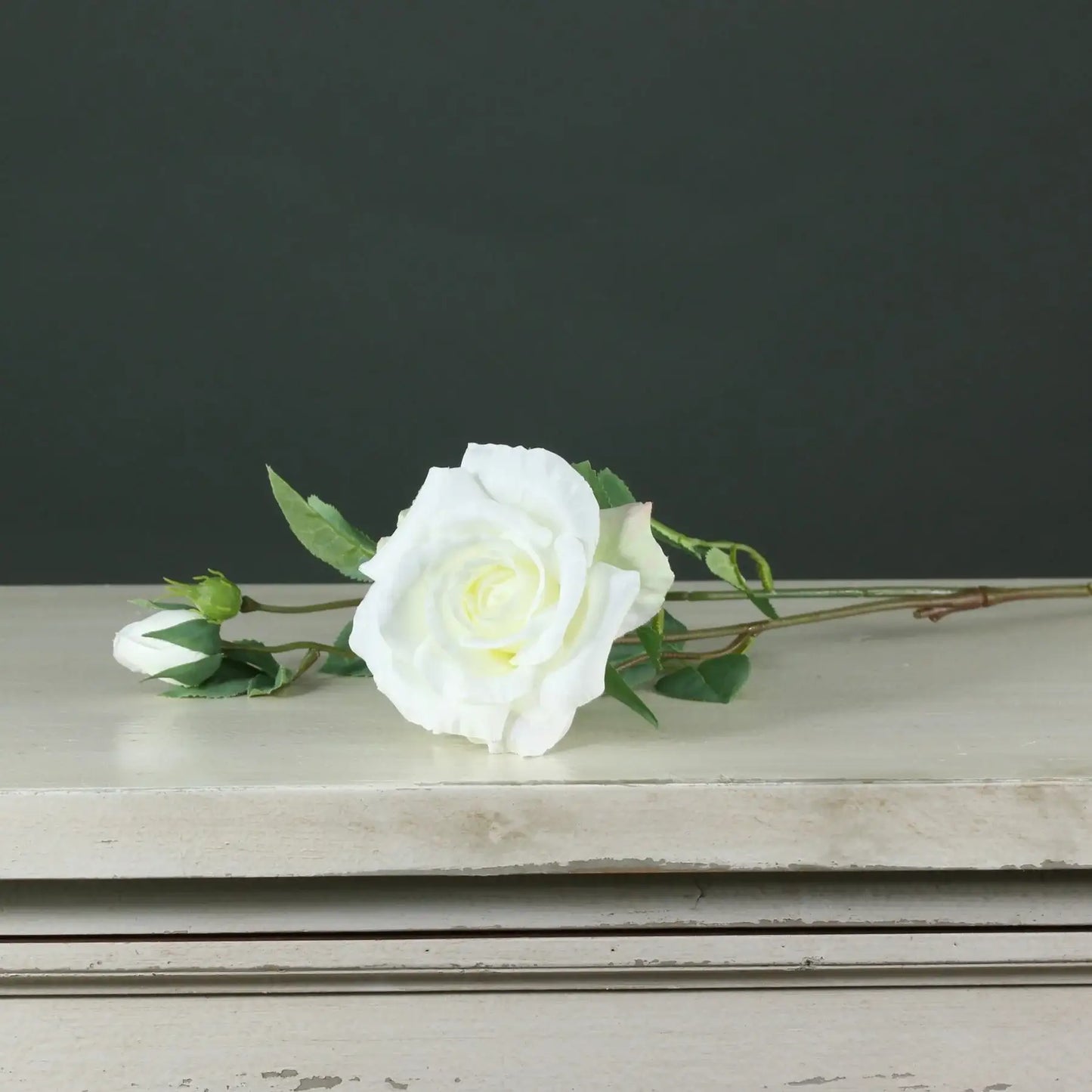 Elegant white rose with bud and green leaves on rustic shelf, perfect for home décor or gift occasions