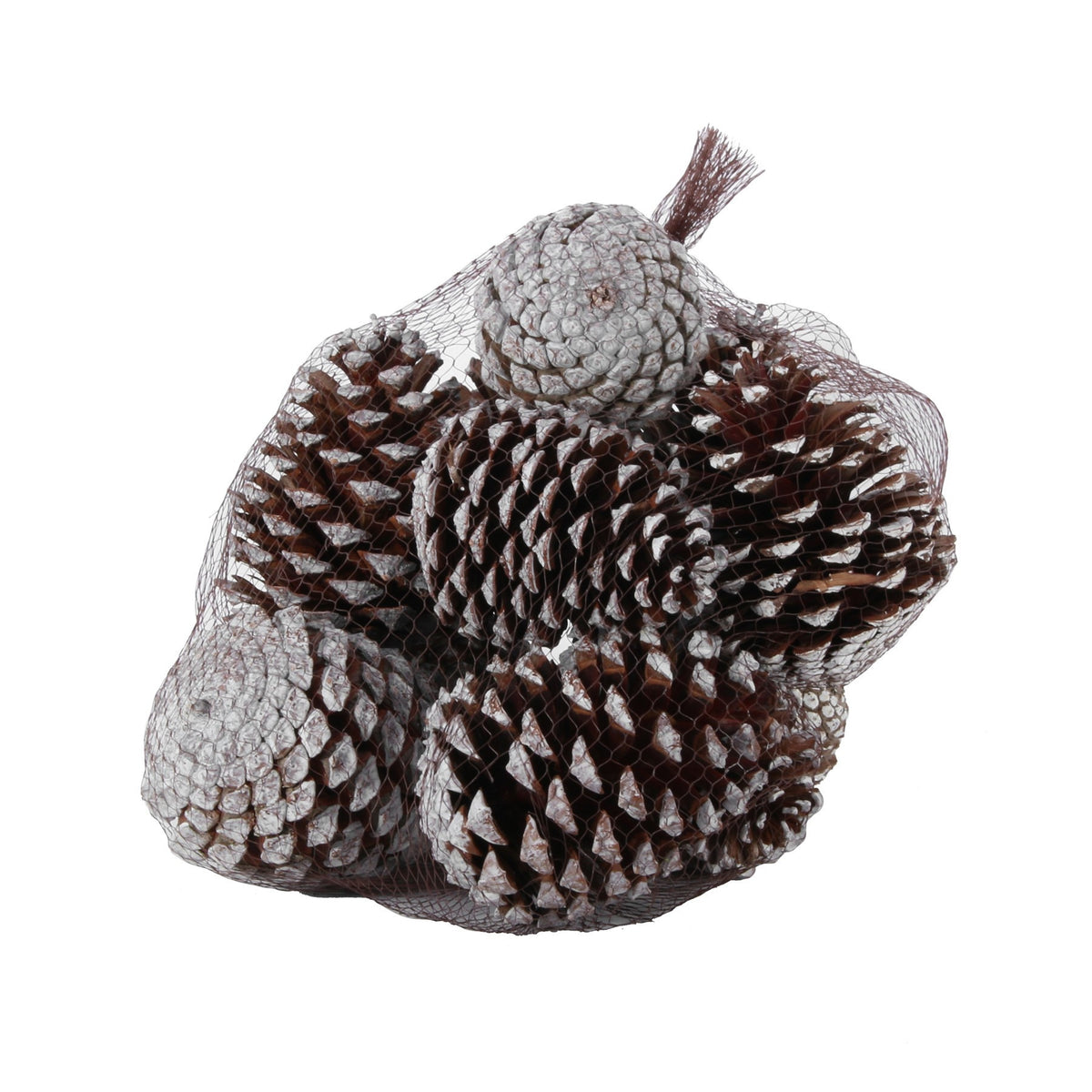 Discover the White Tipped Maritima Cones (x12) at Bristow Direct
