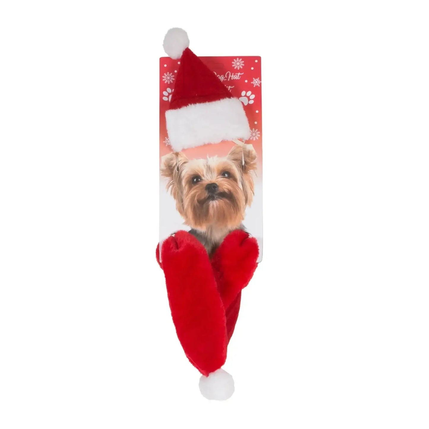 Dog Father Christmas Hat and Scarf
