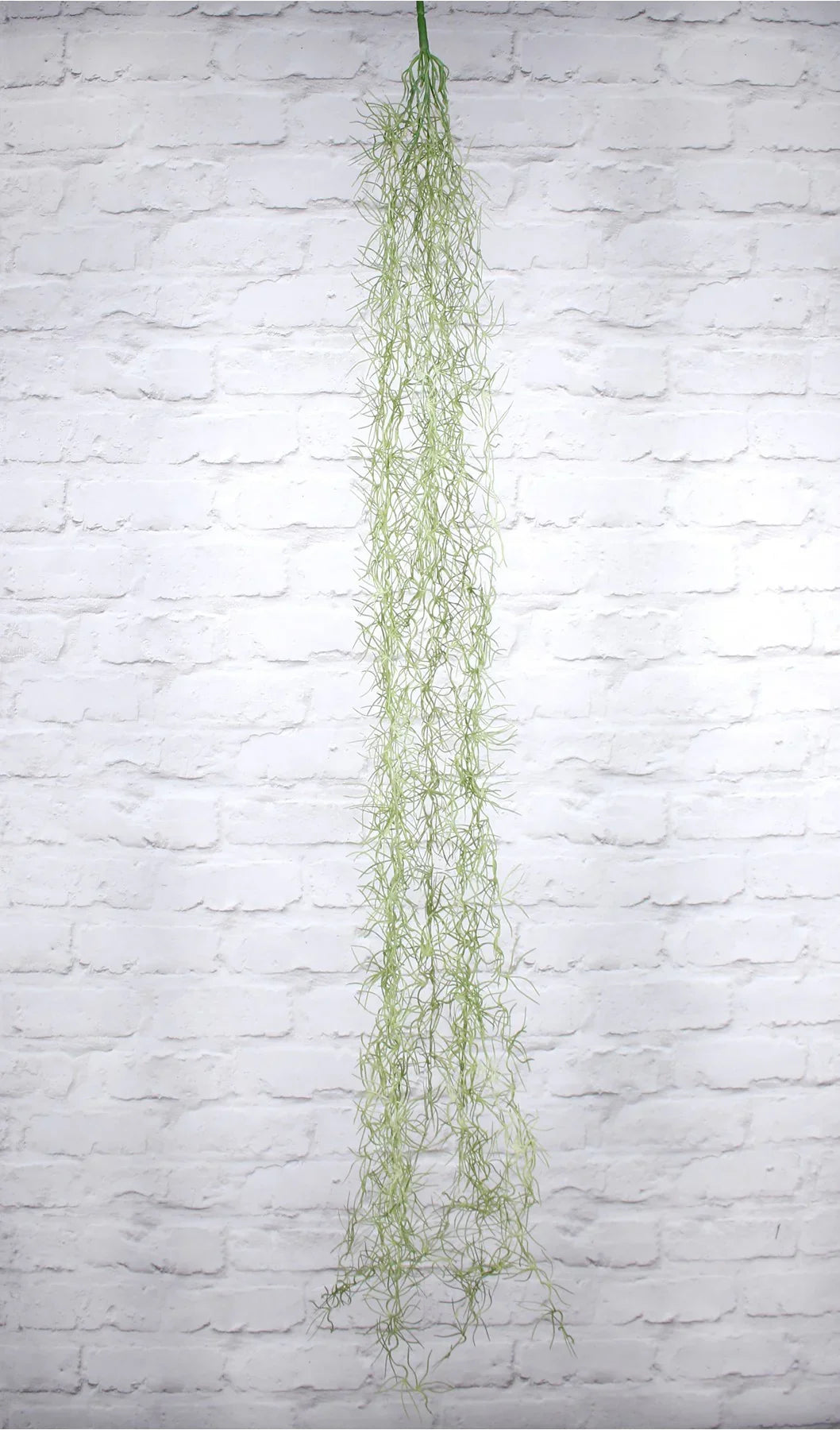 Artificial Hanging Tilansdia Plant