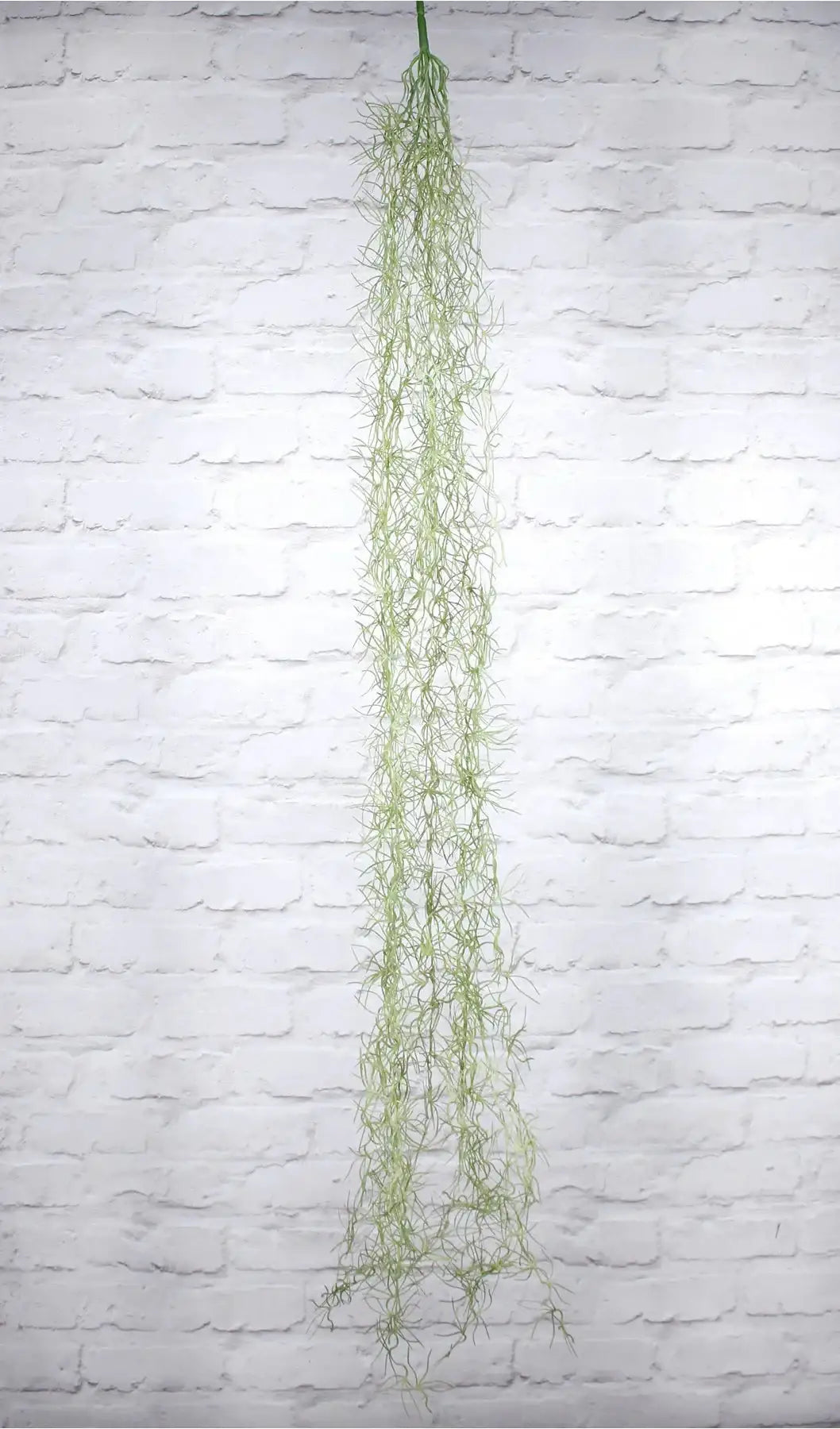 Artificial Hanging Tilansdia Plant