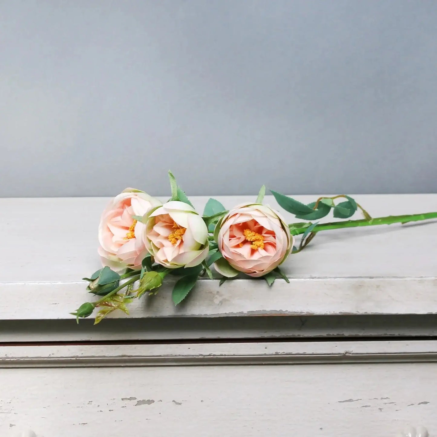 Tintagel Vintage Hedgerow Rose Spray Peach