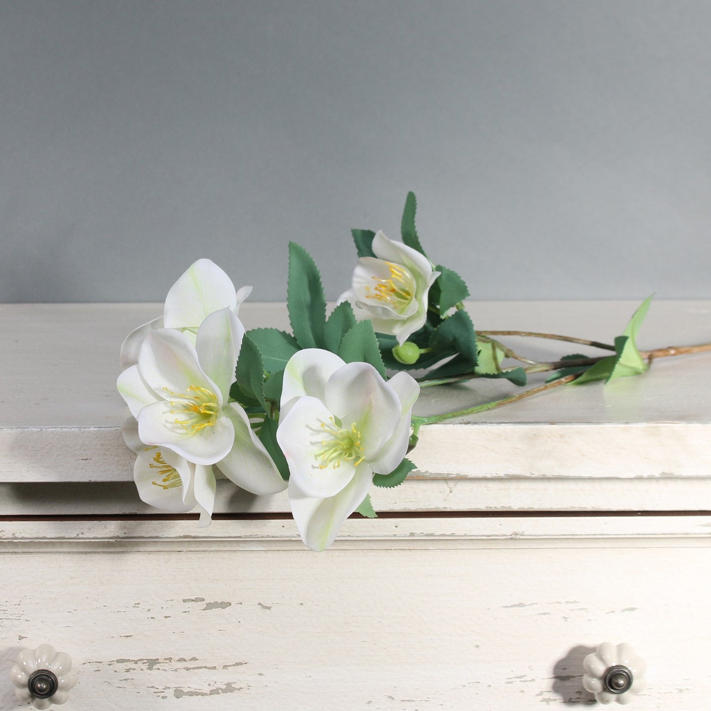 Tintagel Hellebore Cream