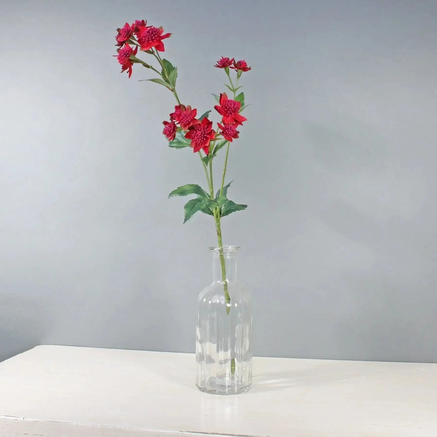 Red Astrantia with 14 Flowers (50cm)