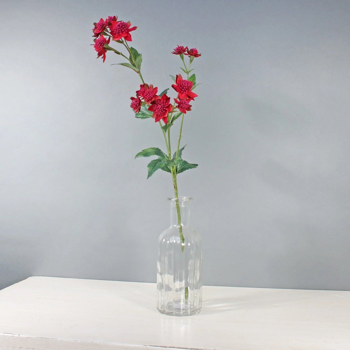Red Astrantia with 14 Flowers (50cm)