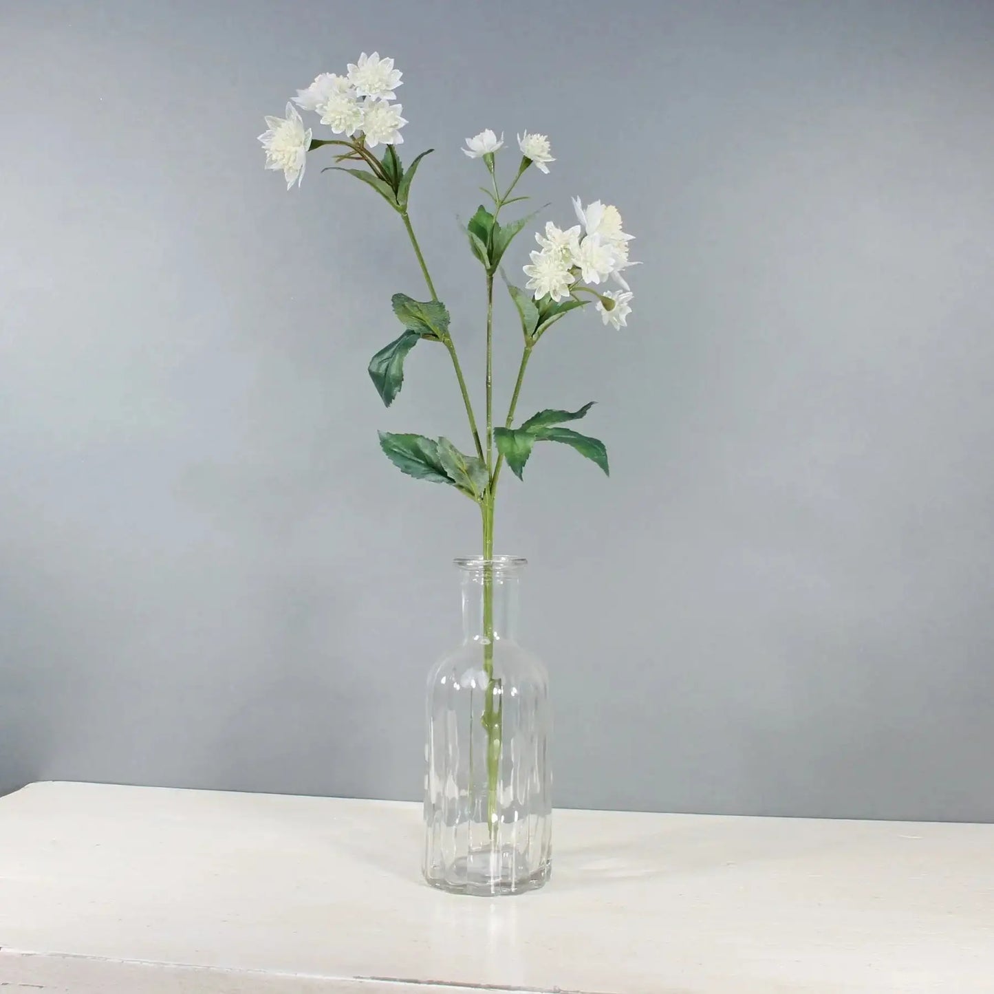 White Astrantia with 14 Flowers (50cm)