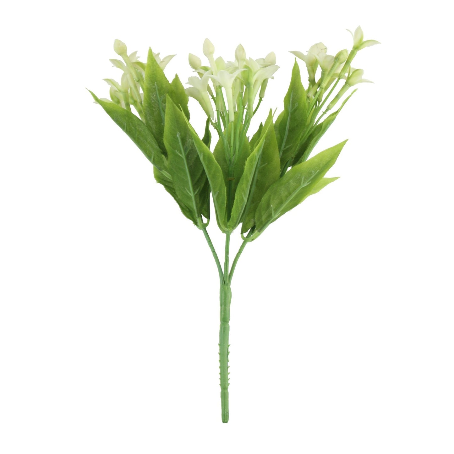Discover the White Stephanotis Bush (23cm) at Bristow Direct