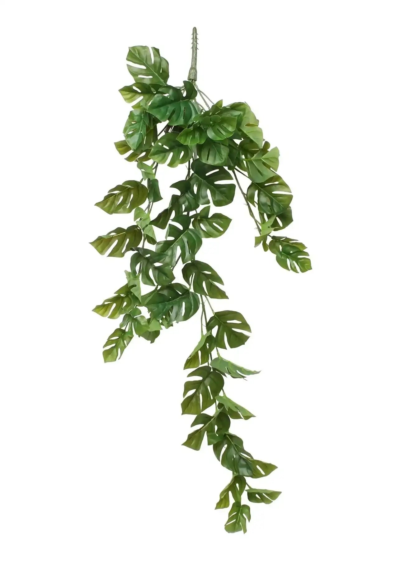 Mini Split Philo Hanging Bush (38Inch)