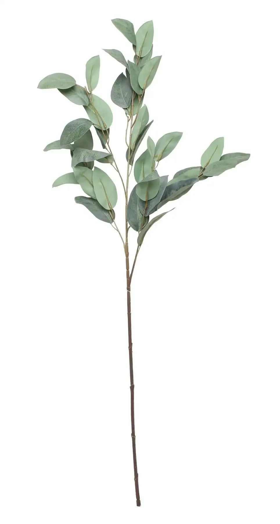 Eucalyptus Spray (36.5Inch)