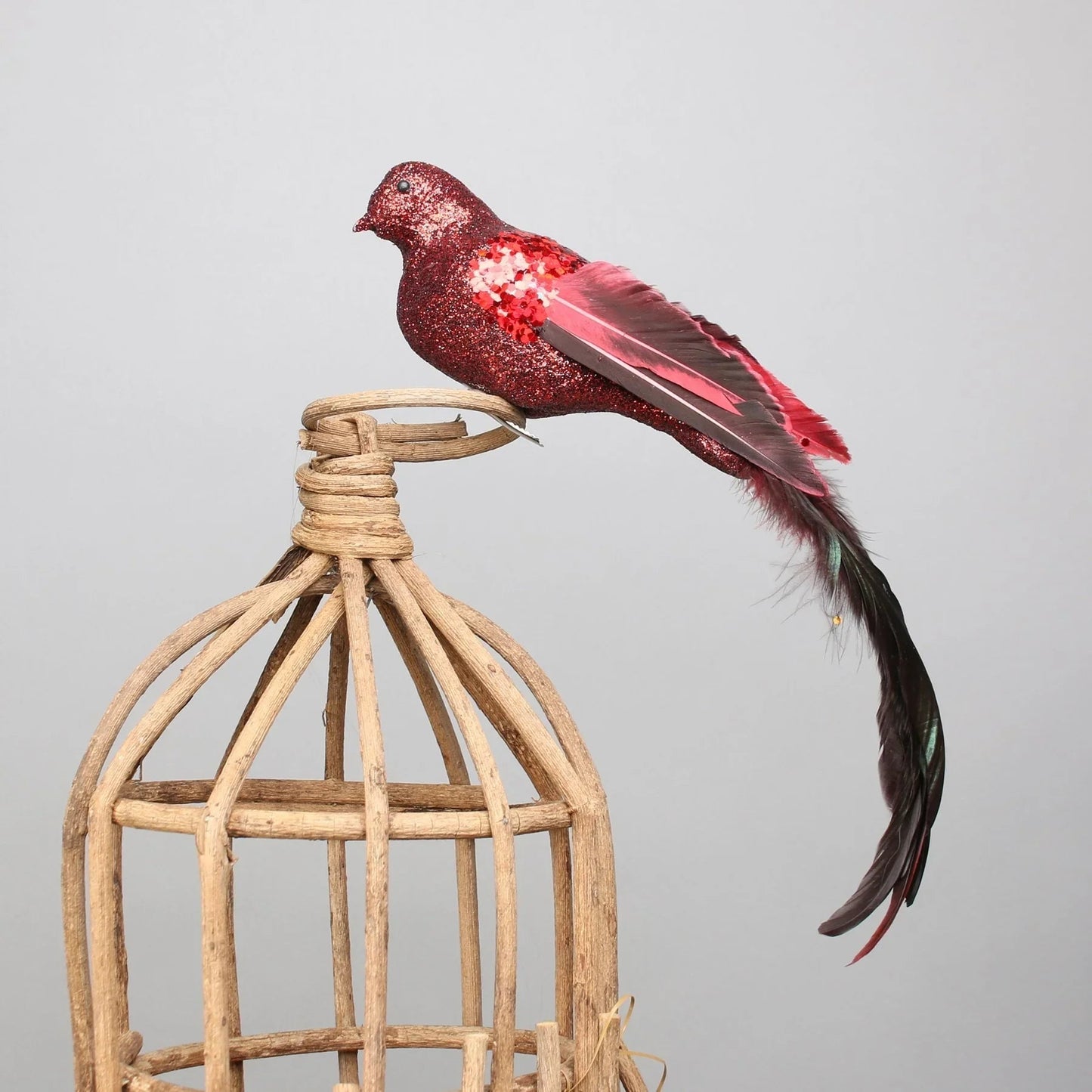 Red Paradise Bird with clip