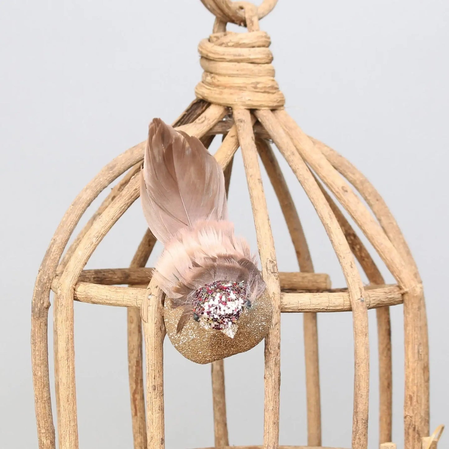 Pink Longtail FInch with clip