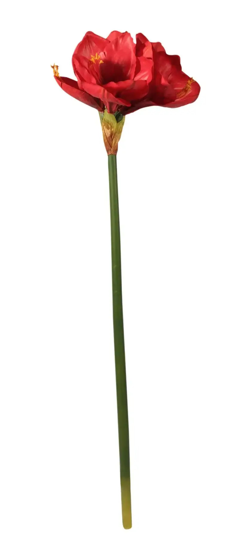 Realistic artificial red amaryllis stem with green stalk, home decor floral accent