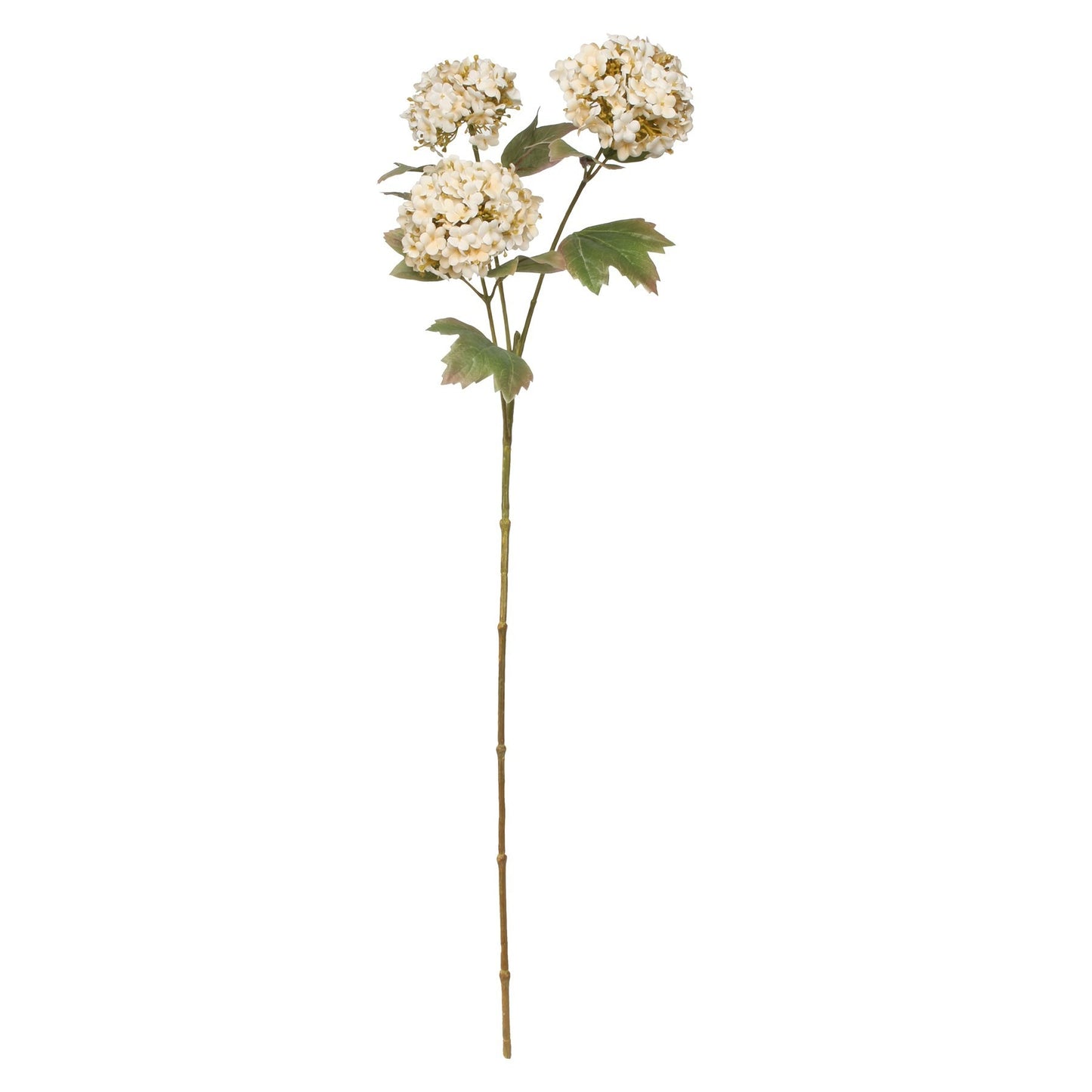 Balmoral Cream Viburnum Spray (82cm)