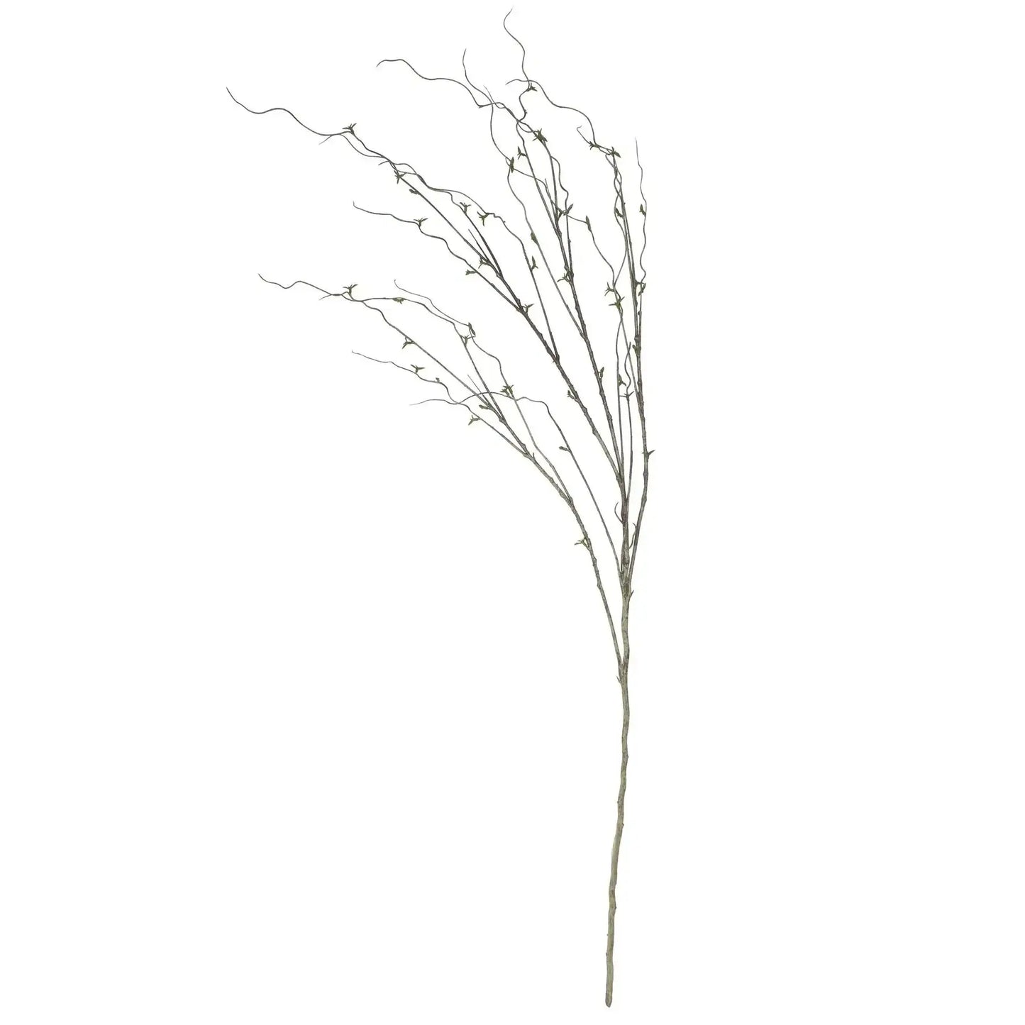 Twig in Leaf