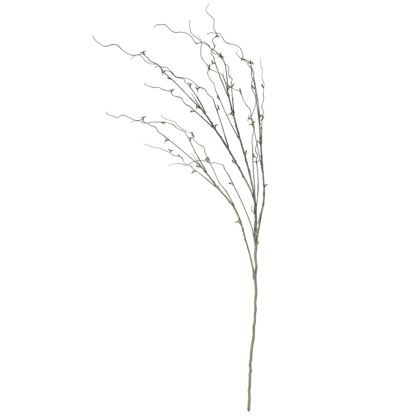 Twig in Leaf