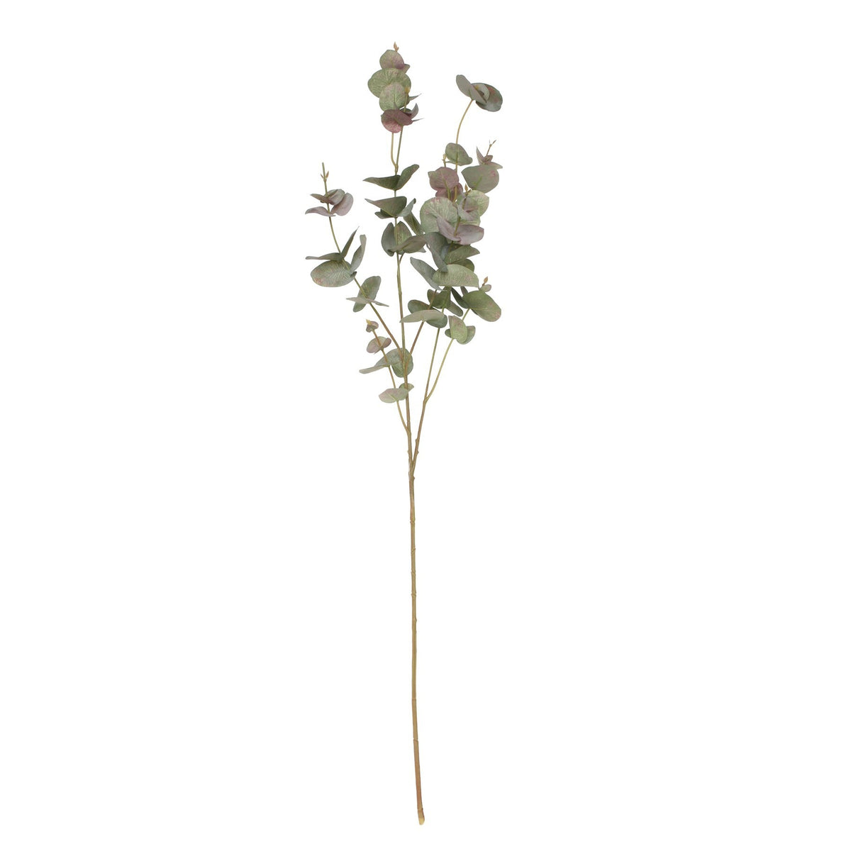 Discover the Balmoral Eucalyptus Burgundy Green (93cm) at Bristow Direct