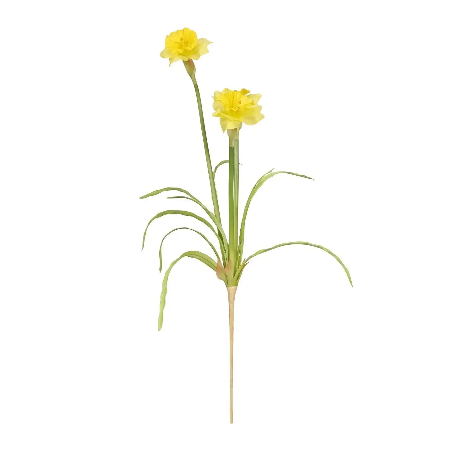 Monet Narcissus Yellow (58cm 3 flowers)