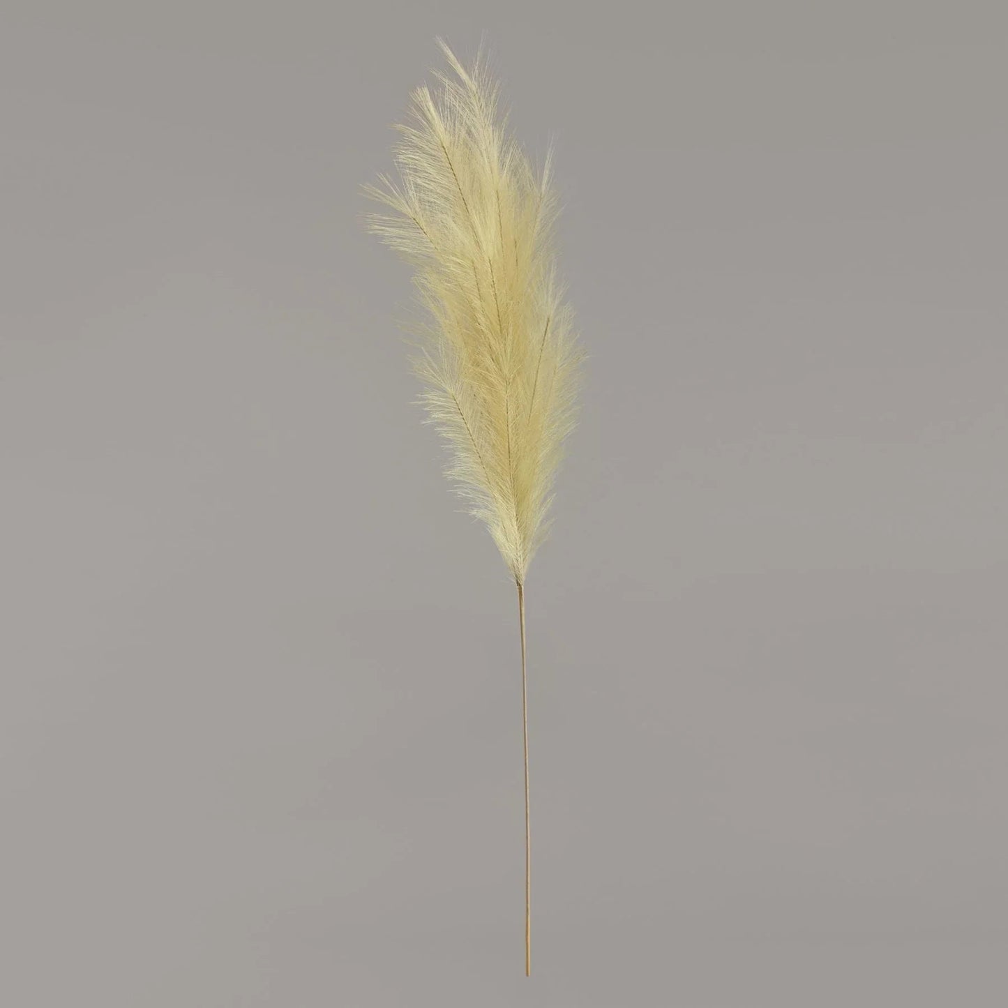 Luxury Pampas Pistachio Green
