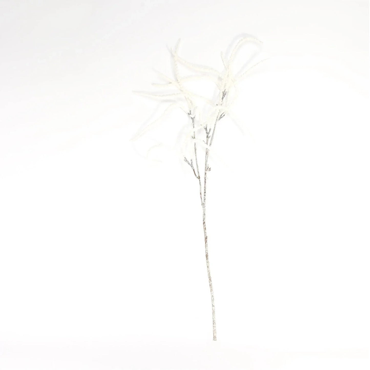 White Willow Spray