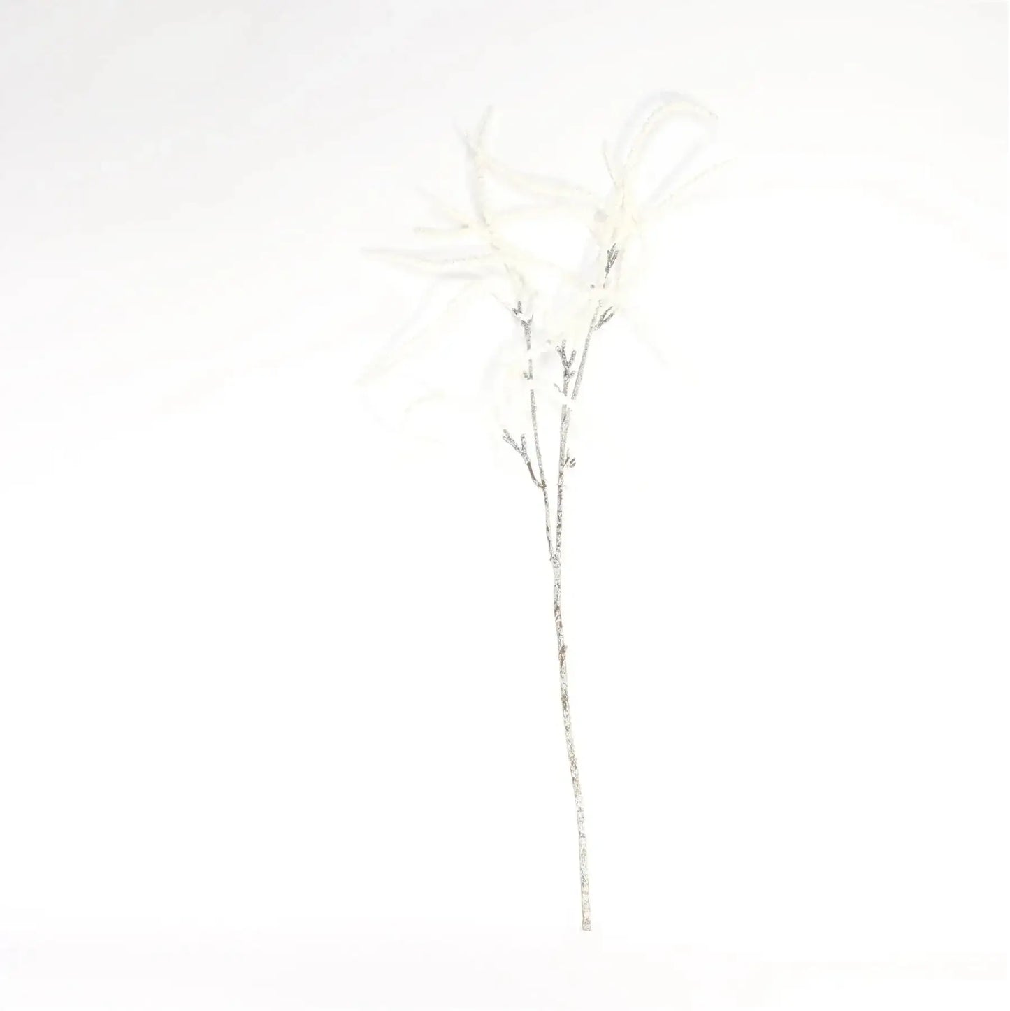 White Willow Spray