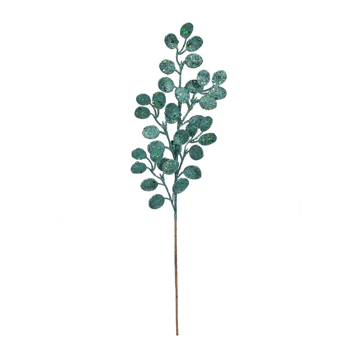 Discover the Peacock Glitter Eucalyptus Stem (H61cm) at Bristow Direct