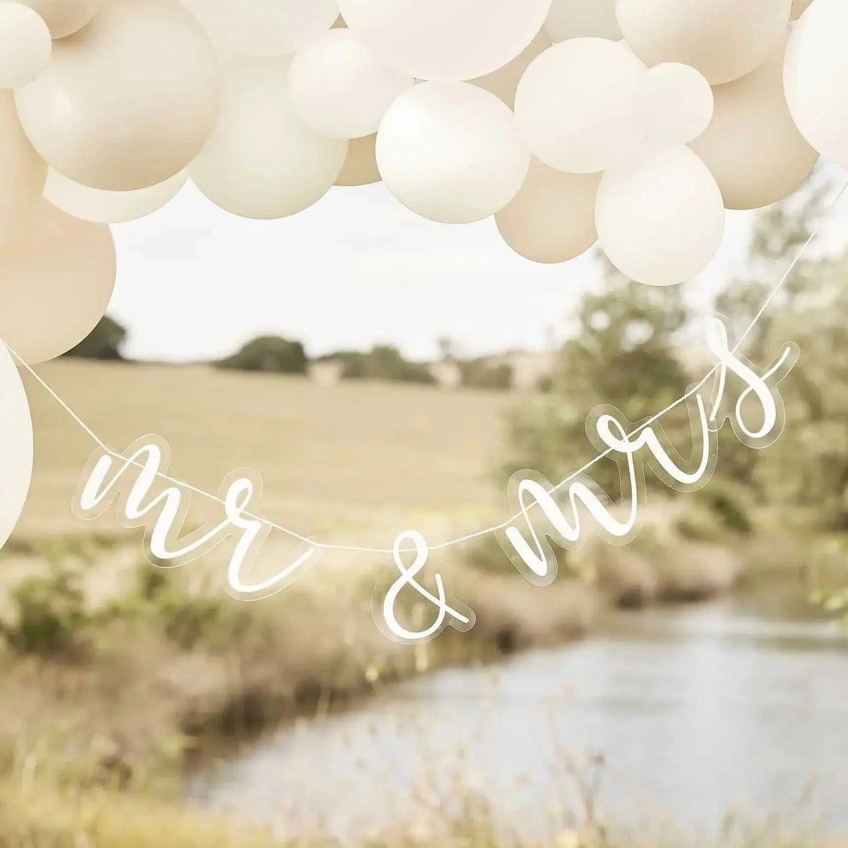 Acrylic Mr and Mrs Bunting