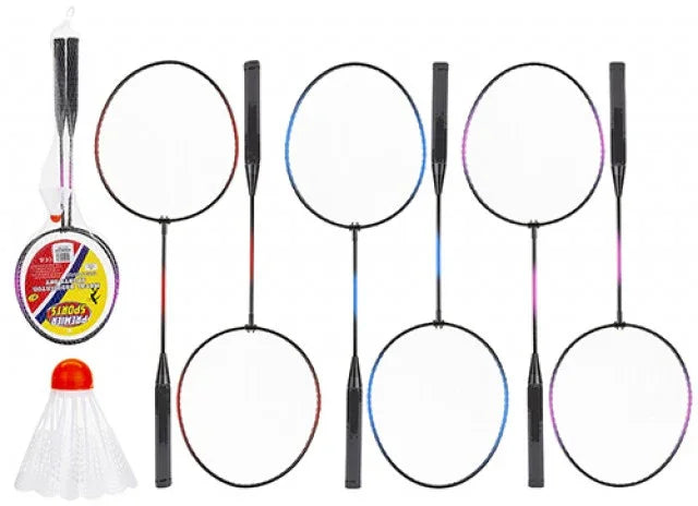 Badminton Set (Assorted)