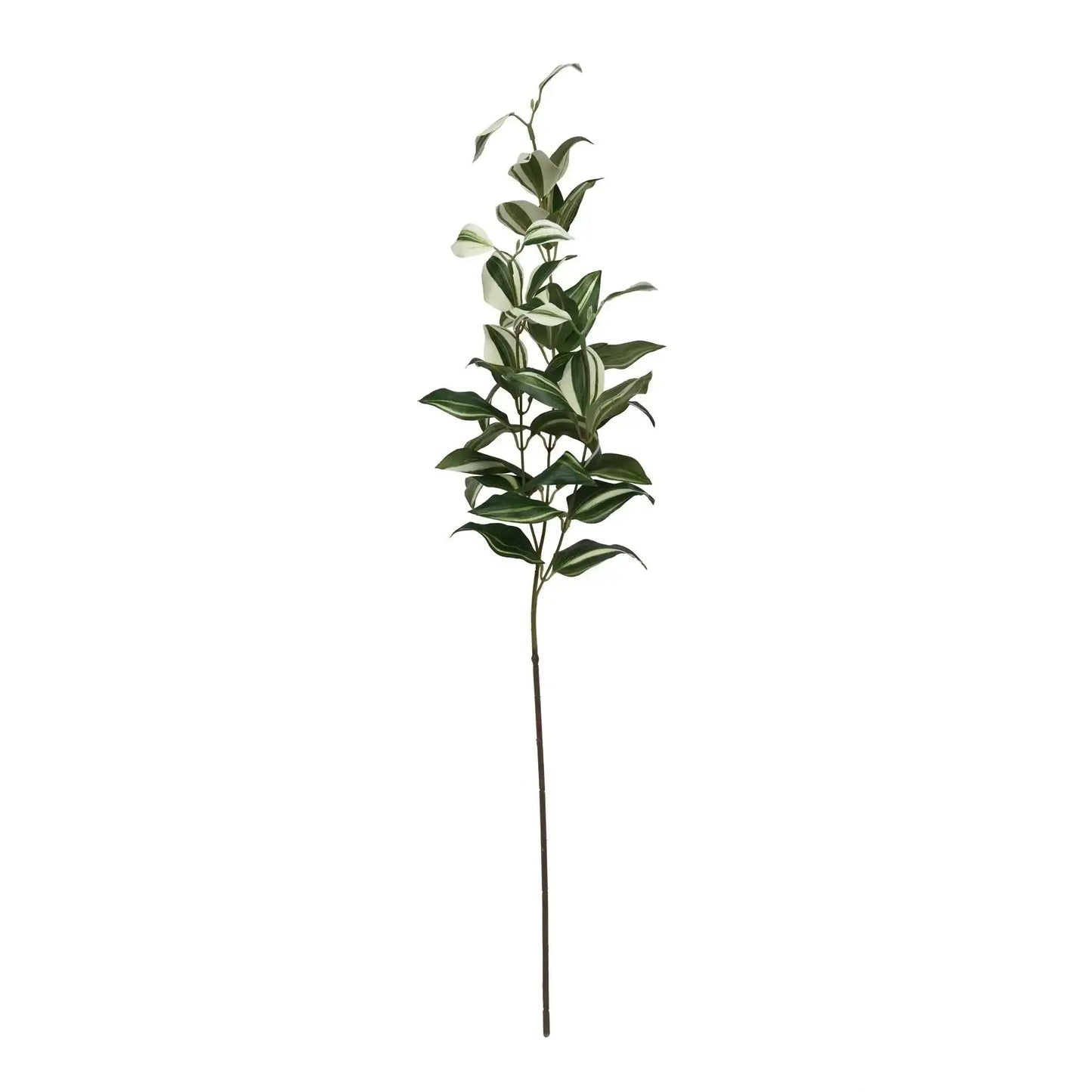 Tradaescantia Spray (74cm)