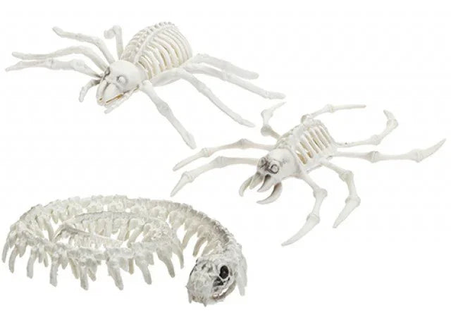 Assorted Skeleton Animals