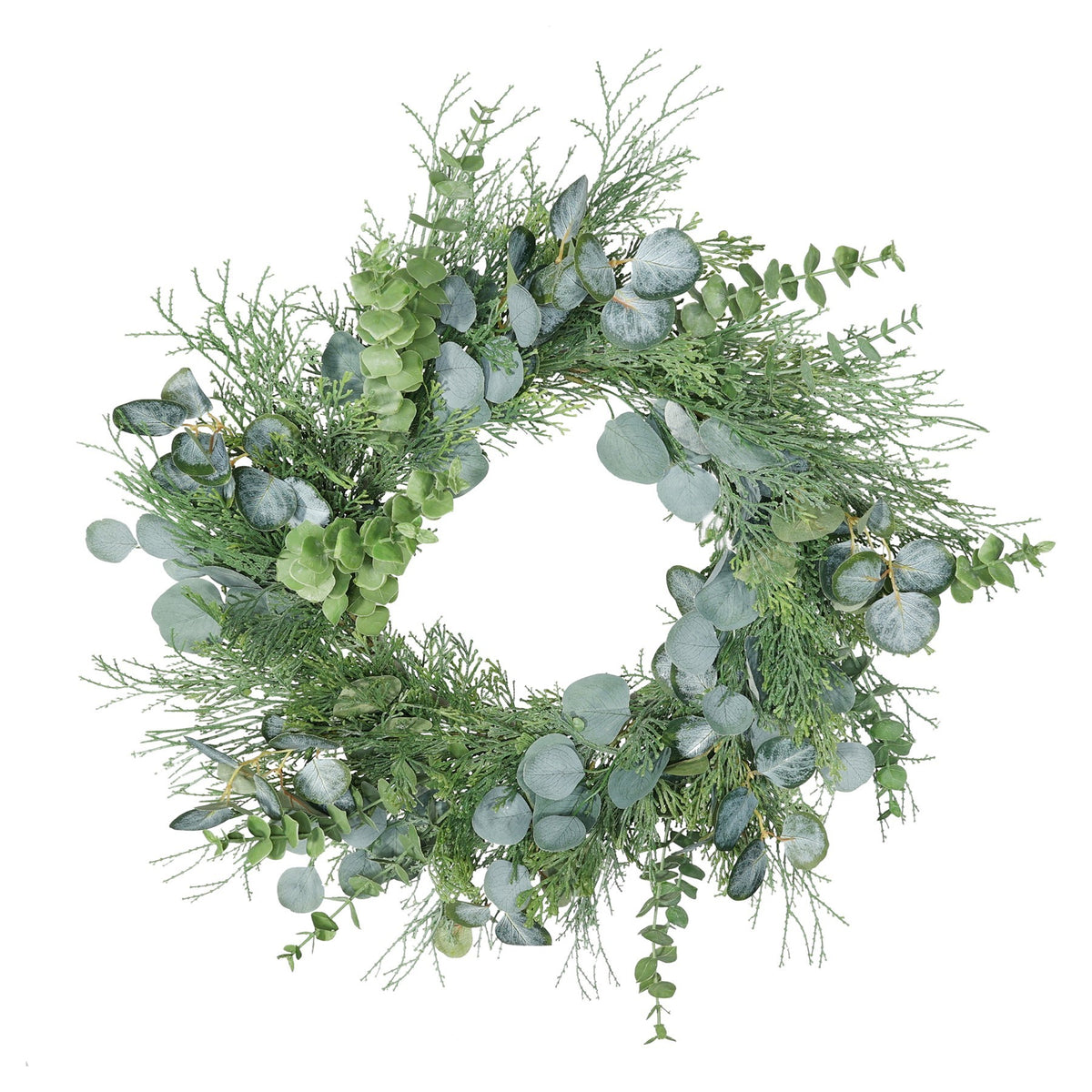 Discover the Eucalyptus and pine Wreath at Bristow Direct