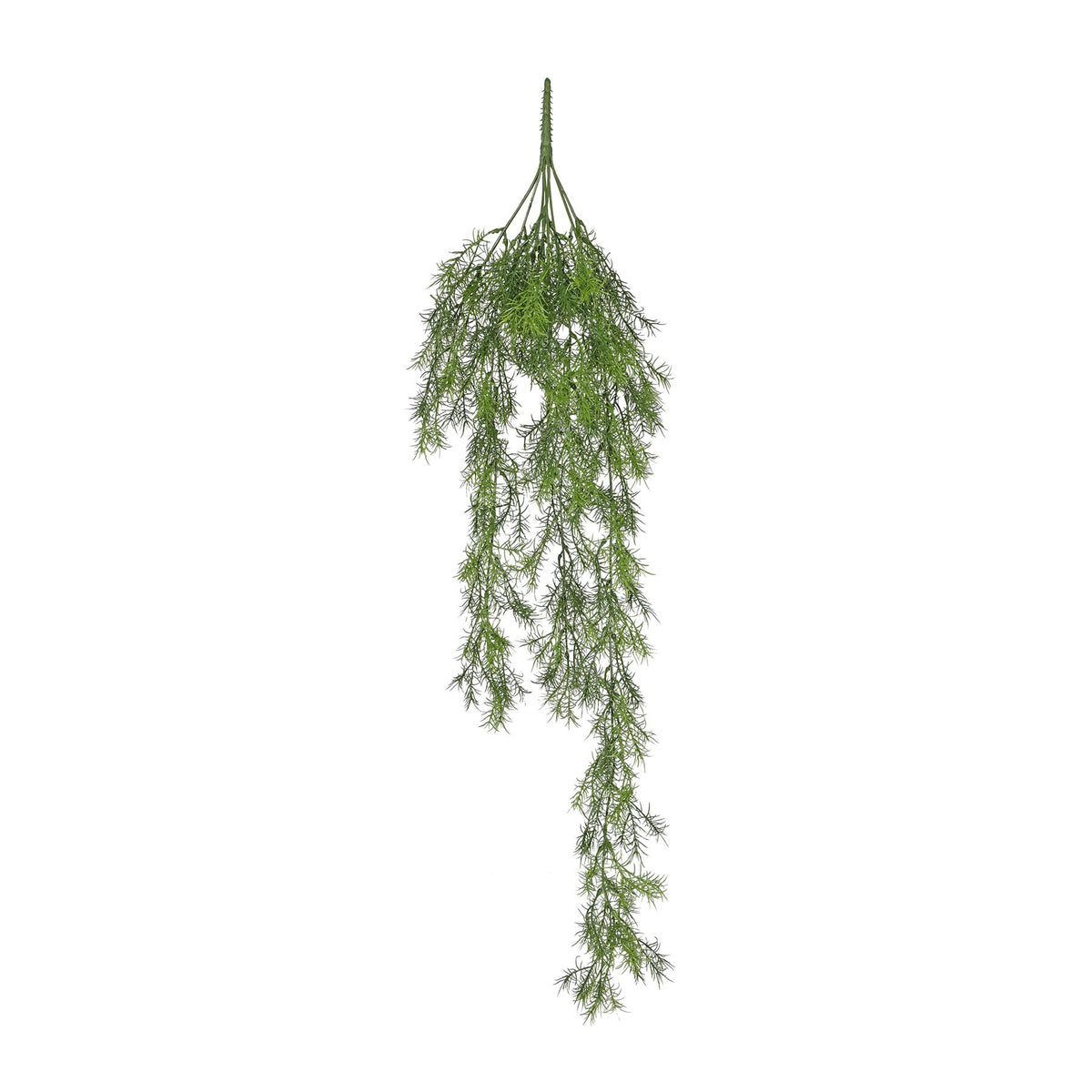 Discover the Exterior Green Leaf Trailing Plant (94cm) at Bristow Direct