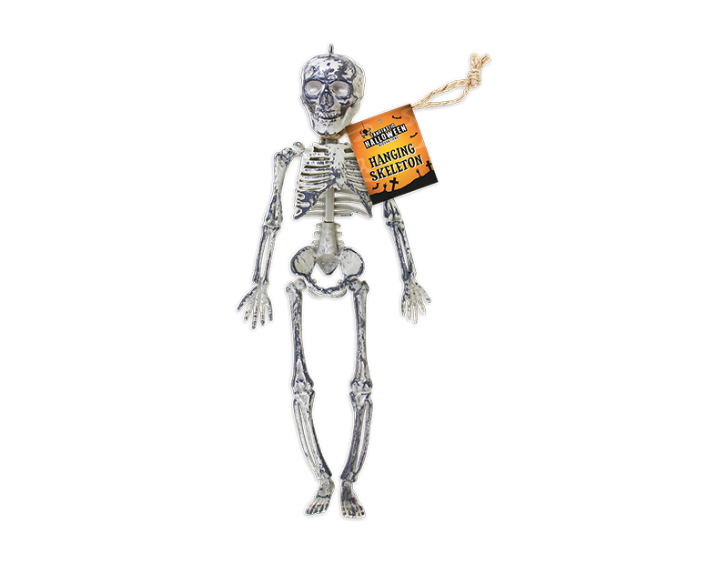Halloween Hanging Skeleton