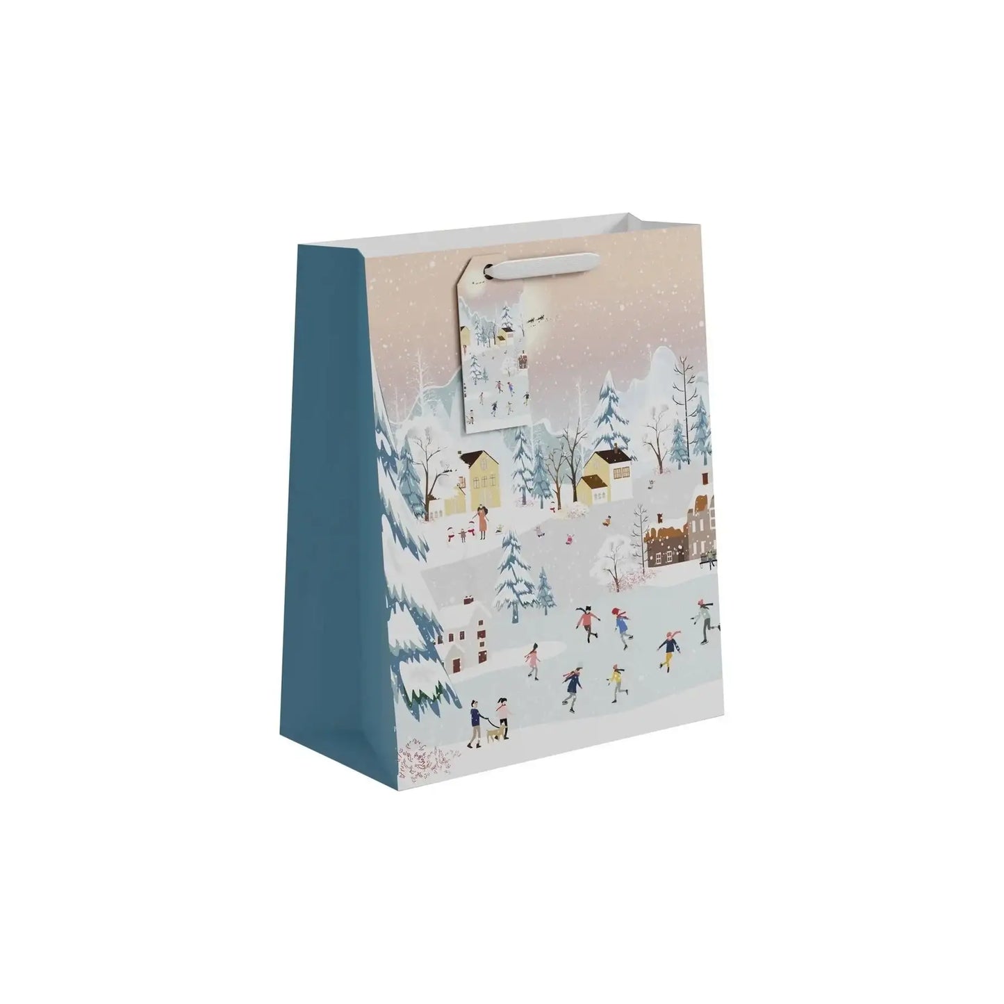 Skating Scene Gift Bag (Large)