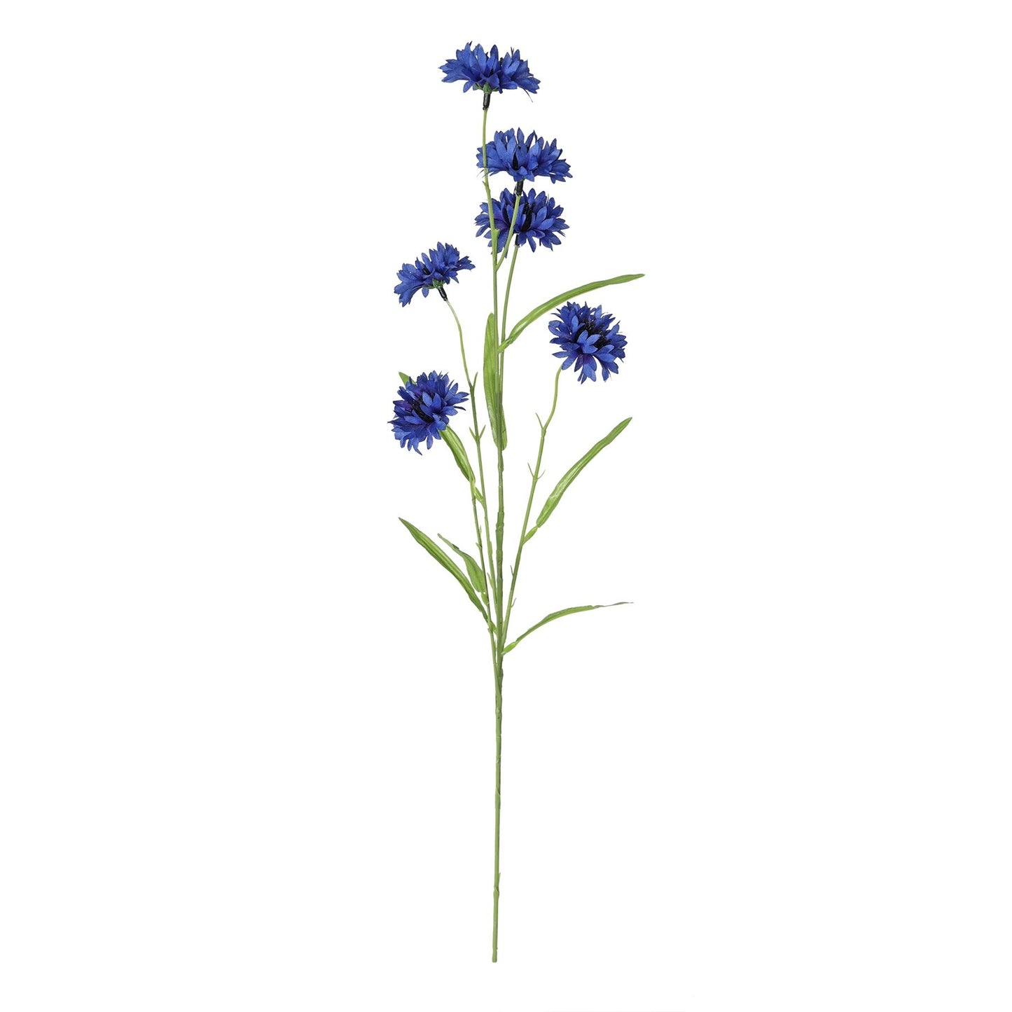 Discover the Royal Blue Wild Cornflower Spray (63cm) at Bristow Direct