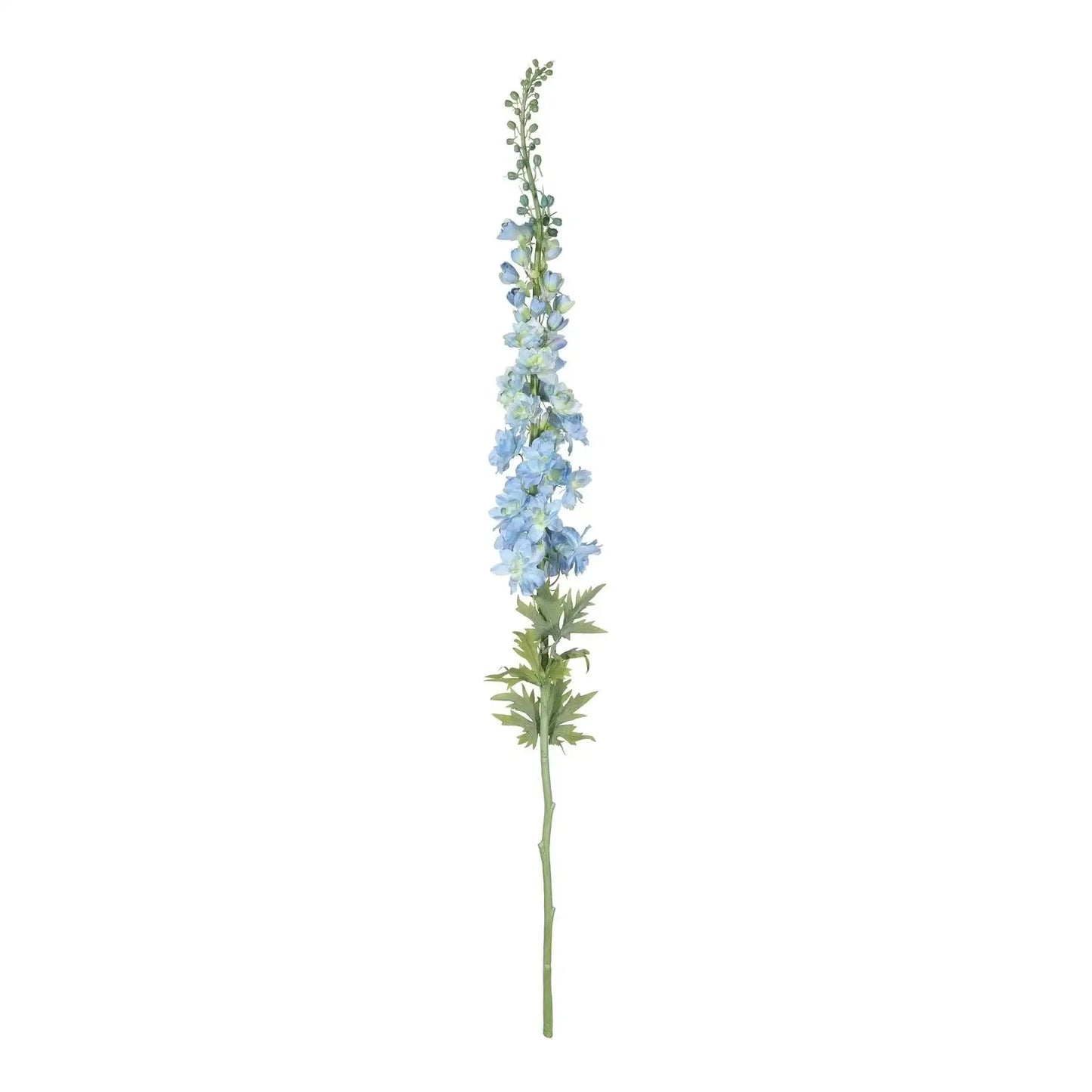 Botanica Giant Blue Delphinium (137cm)