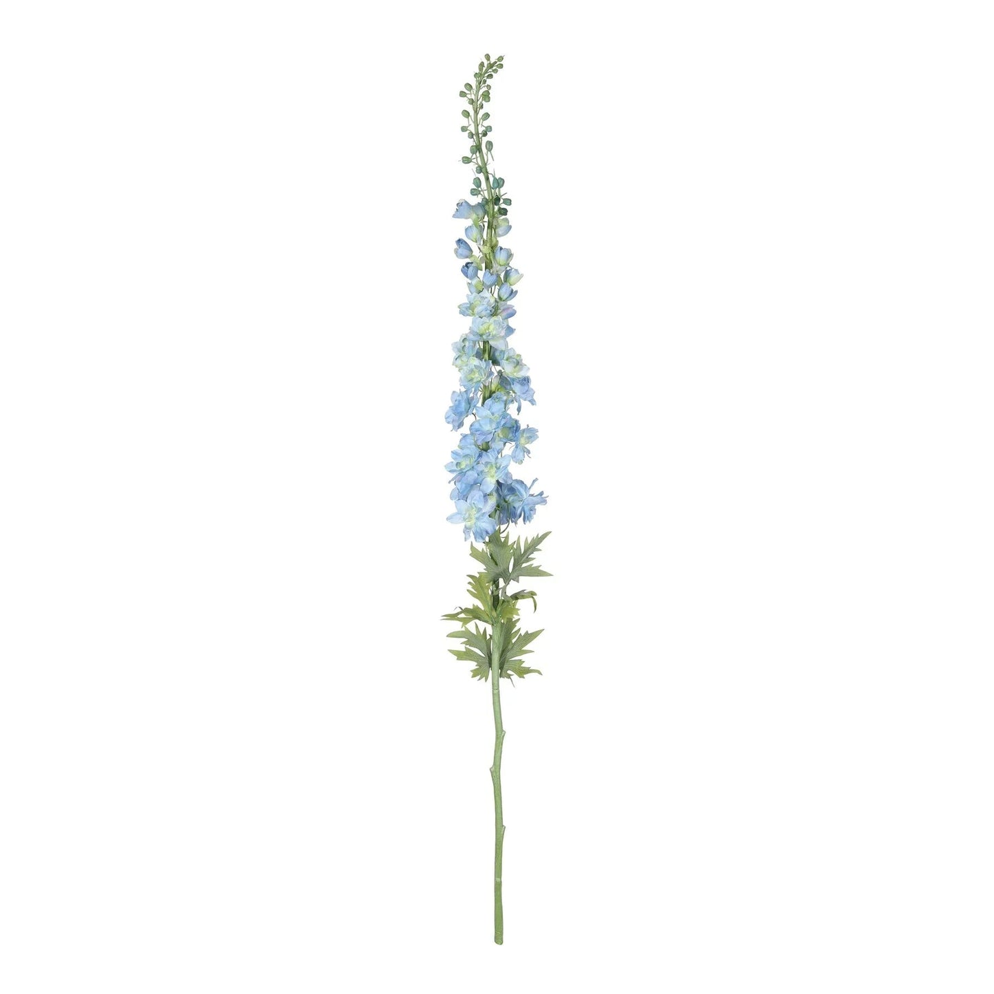 Botanica Giant Blue Delphinium (137cm)