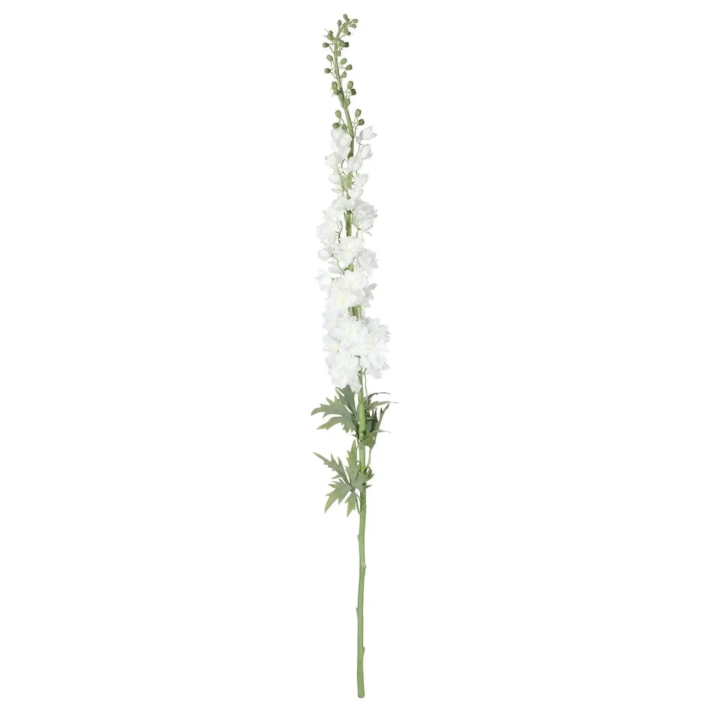 Botanica Giant White Delphinium (137cm)