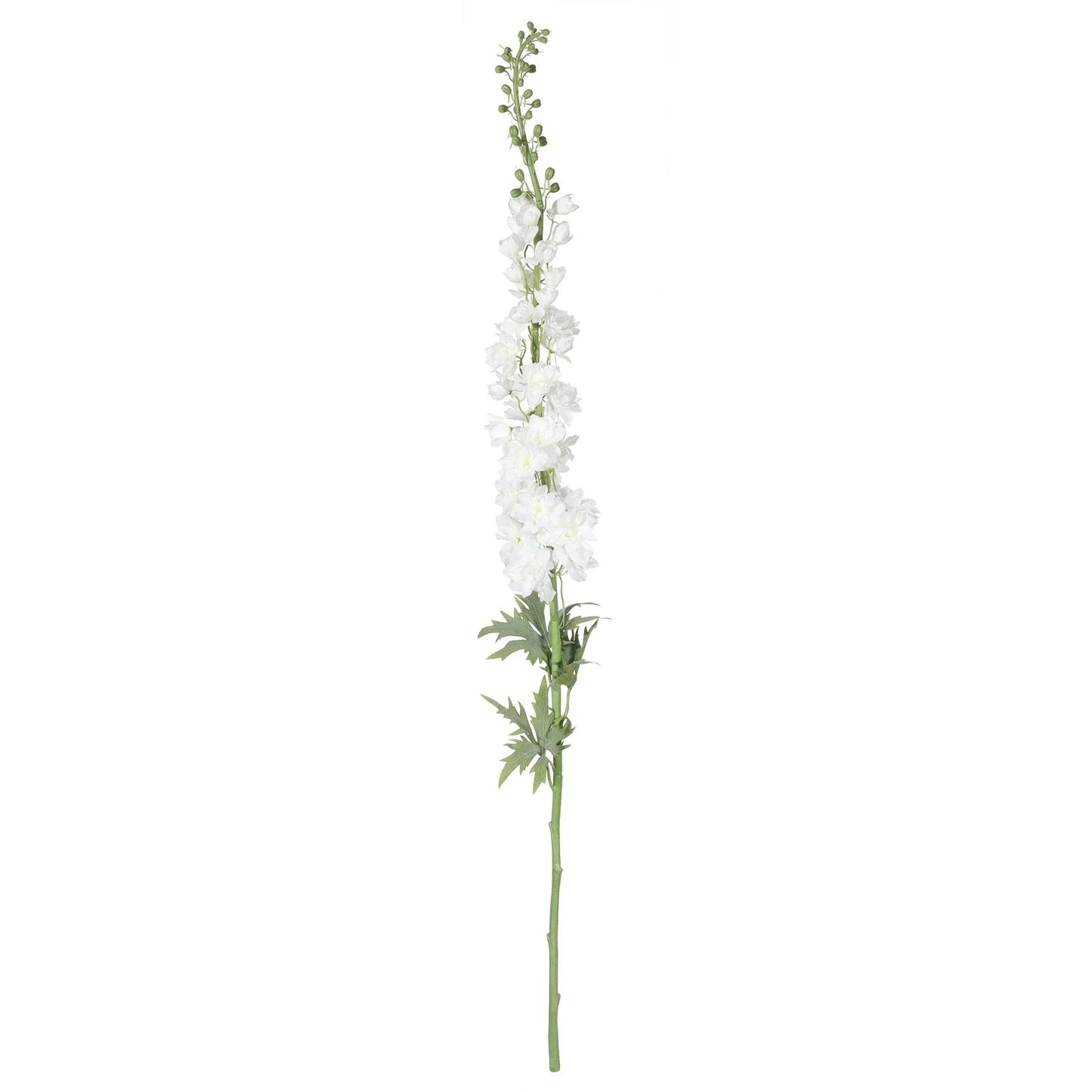 Botanica Giant White Delphinium (137cm)