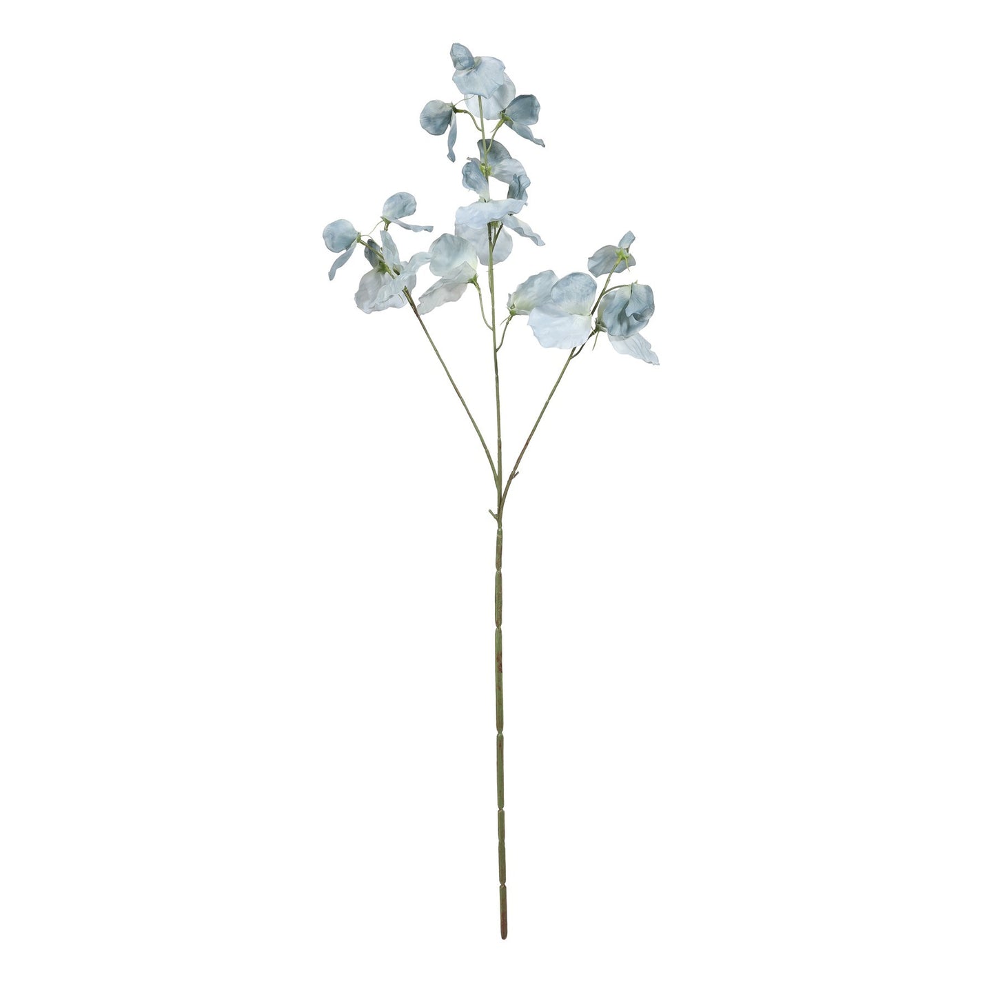 Botanica Blue Sweetpea (73cm)
