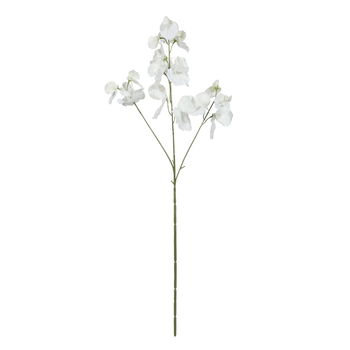 Botanica White Sweetpea (73cm)