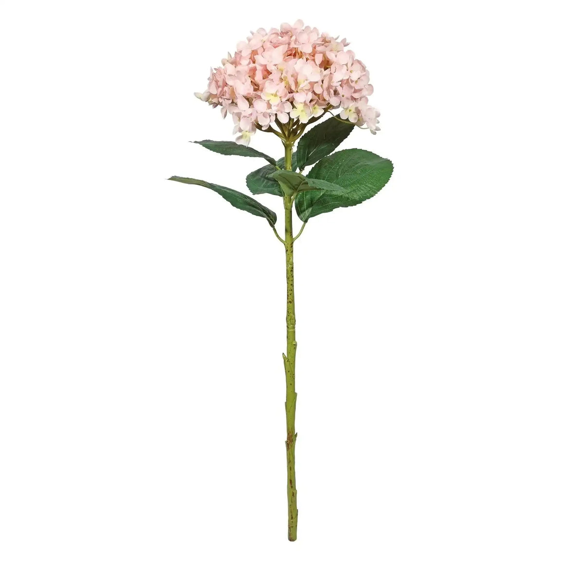 Botanica Giant Pink Mop Head Hydrangea (73cm)