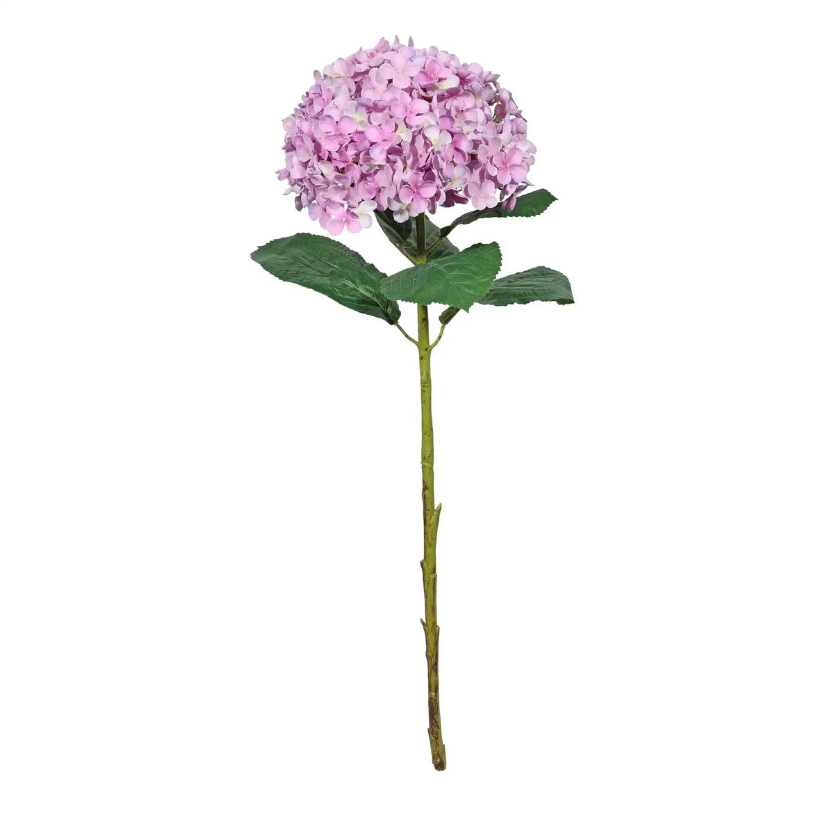 Botanica Giant Purple Mop Head Hydrangea (73cm)
