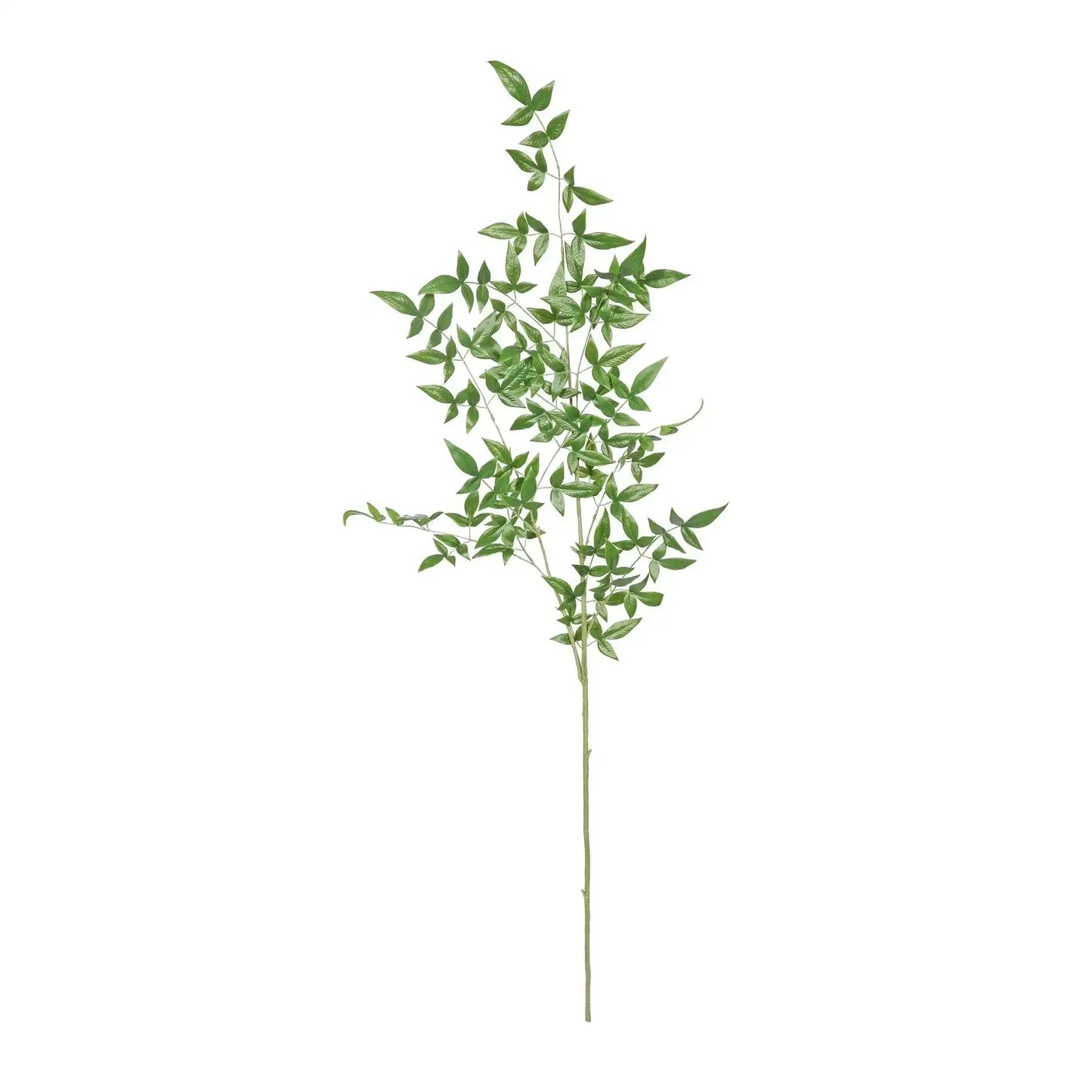 Green Botanica Giant Ruscus (134cm)